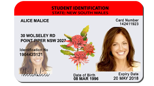 Fake Nsw Drivers License